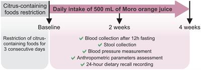 Blood orange juice intake changes specific bacteria of gut microbiota associated with cardiometabolic biomarkers